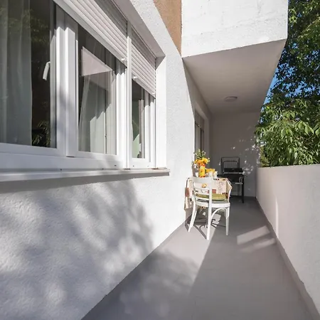 Spacious Snowwhite * Split