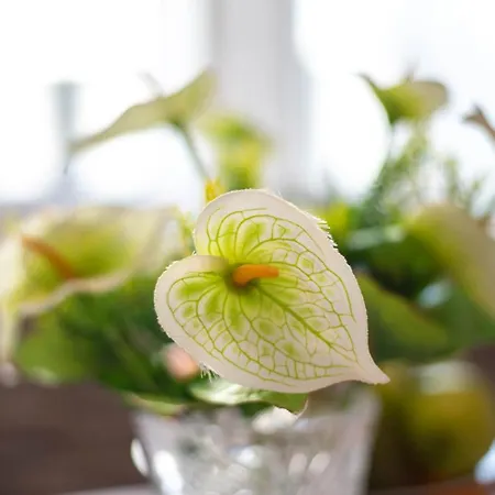 Διαμέρισμα Spacious Snowwhite